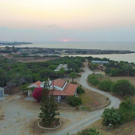 Balci Plaza Hotel And Balci Plaza Guest Bungalows Karpaz Peninsula Selenias エクステリア 写真