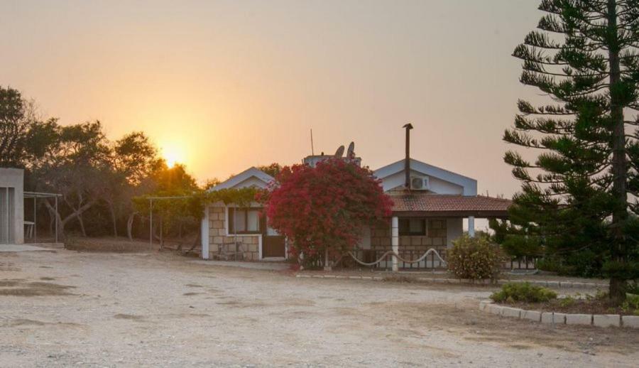 Balci Plaza Hotel And Balci Plaza Guest Bungalows Karpaz Peninsula Selenias エクステリア 写真