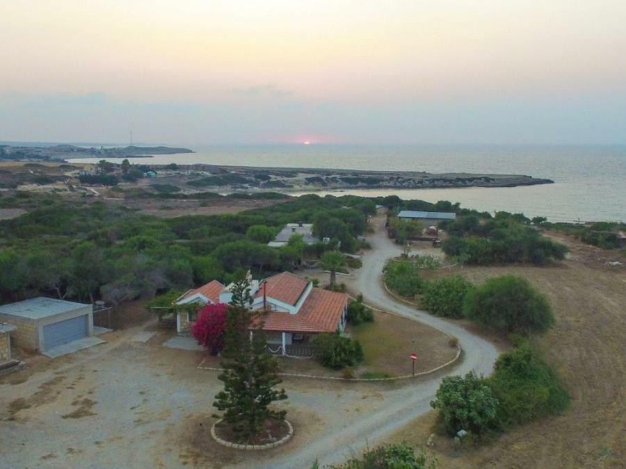 Balci Plaza Hotel And Balci Plaza Guest Bungalows Karpaz Peninsula Selenias エクステリア 写真
