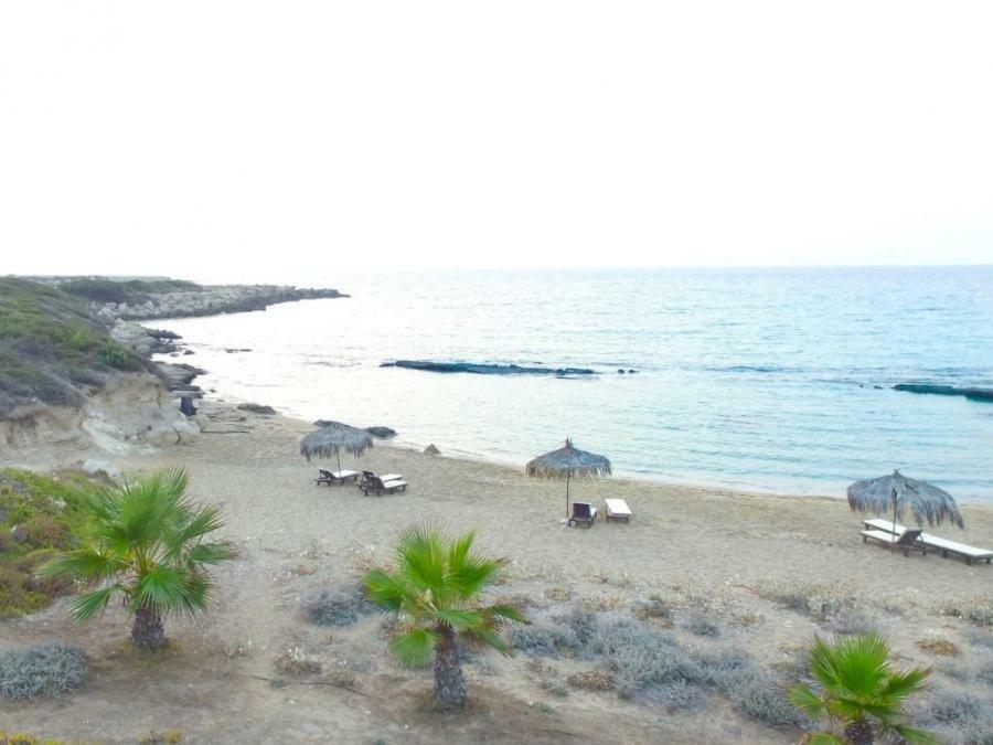 Balci Plaza Hotel And Balci Plaza Guest Bungalows Karpaz Peninsula Selenias エクステリア 写真